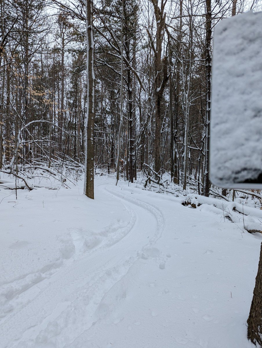 ZiggysCycleKW's tweet photo. Thanks to the best @WCCTrails Trail Crew for ALWAYS making sure our trails are safe, accessible and oh so fun!
#hydrocuttrails #hydrocut #fatbiking #trailcrew #supportlocaltrails #fatbikeworld #winterfun https://t.co/h3gJ4chtUt