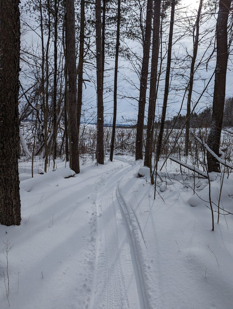 ZiggysCycleKW's tweet photo. Thanks to the best @WCCTrails Trail Crew for ALWAYS making sure our trails are safe, accessible and oh so fun!
#hydrocuttrails #hydrocut #fatbiking #trailcrew #supportlocaltrails #fatbikeworld #winterfun https://t.co/h3gJ4chtUt