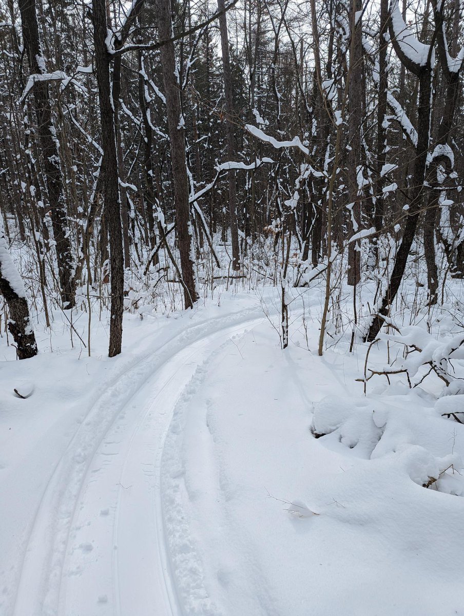 ZiggysCycleKW's tweet photo. Thanks to the best @WCCTrails Trail Crew for ALWAYS making sure our trails are safe, accessible and oh so fun!
#hydrocuttrails #hydrocut #fatbiking #trailcrew #supportlocaltrails #fatbikeworld #winterfun https://t.co/h3gJ4chtUt
