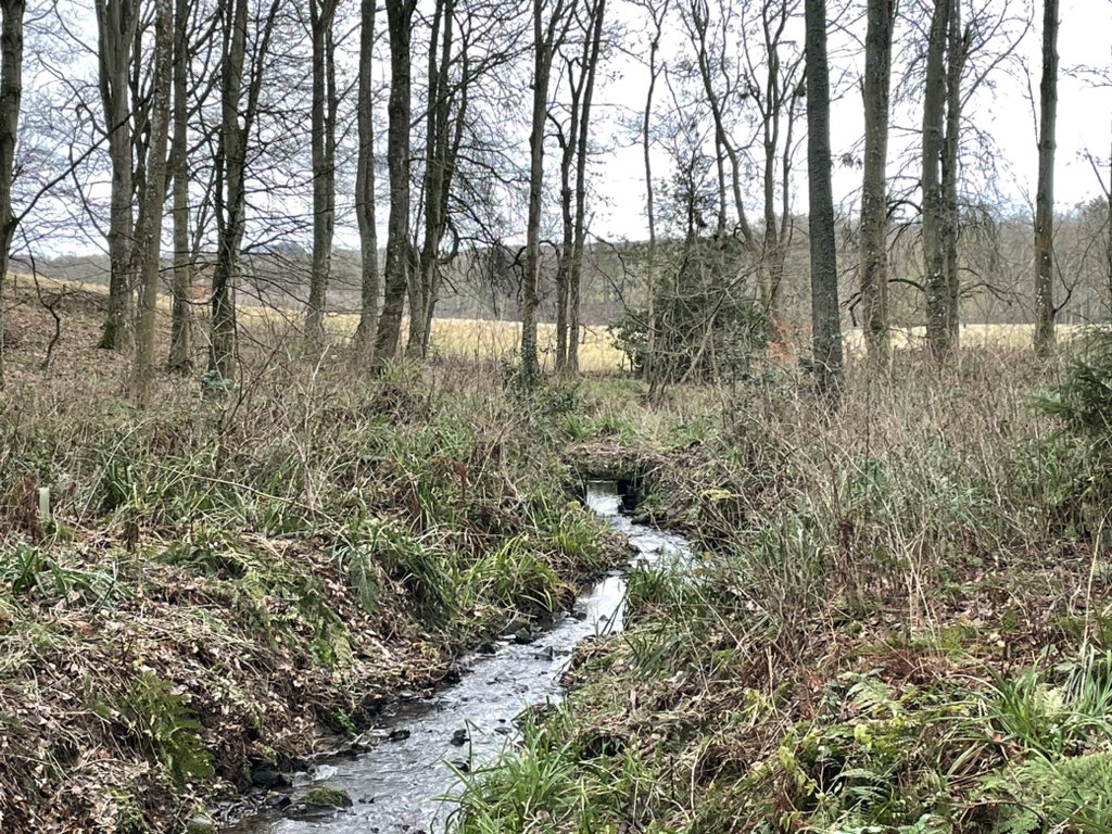 relacs1978's tweet photo. Another walk out #wallingtonhall #WalkOn #cold #Goodtimes https://t.co/gpCoTzHA52
