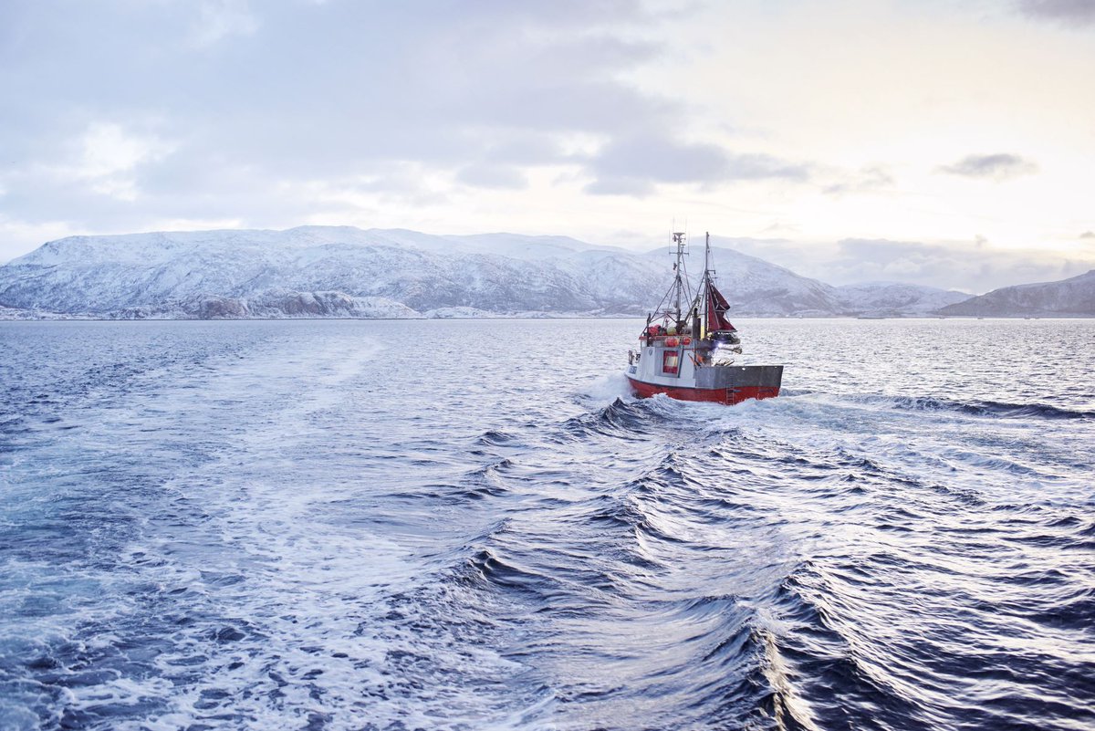 Are you tough enough to brave the cold clear waters of Norway?

The Arctic Ocean might seem like the world’s most dangerous place to work, but by taking precautions, our fisherman are as safe as can be, and yield some of the greatest quality fish because of this environment.