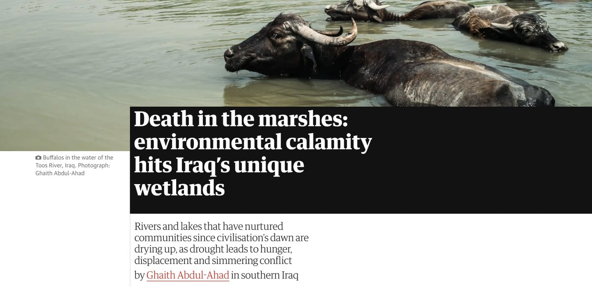 Dr Will Leo Hawkes tweet media