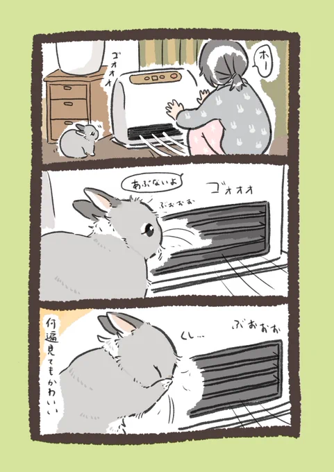 おかおが…ってなるrabbit…

#うさぎのいる生活 