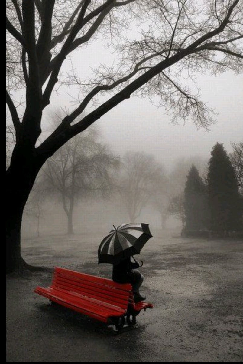 Sometimes your heart needs more time to accept what your mind already knows.