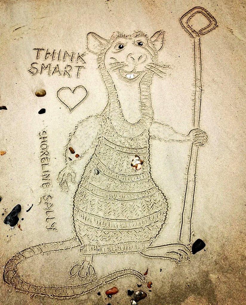 DigiDaughter's tweet photo. Think Smart 🐁 #DangerousBeans #rat #Clever #DavidTennant #terrypratchett ❄️❄️ #theamazingmaurice #SkyCinema #TobyGenkel #TerryRossio
💛 #Covid2022 #Lockdown2021 #morale #VitaminSea 🌊🌊🌊 #DuneToons #Lockdown2020 #comics #cartoons ✍️ #SandBanksy #shorelinesally Character No.1810 https://t.co/iKG2B8g7gq