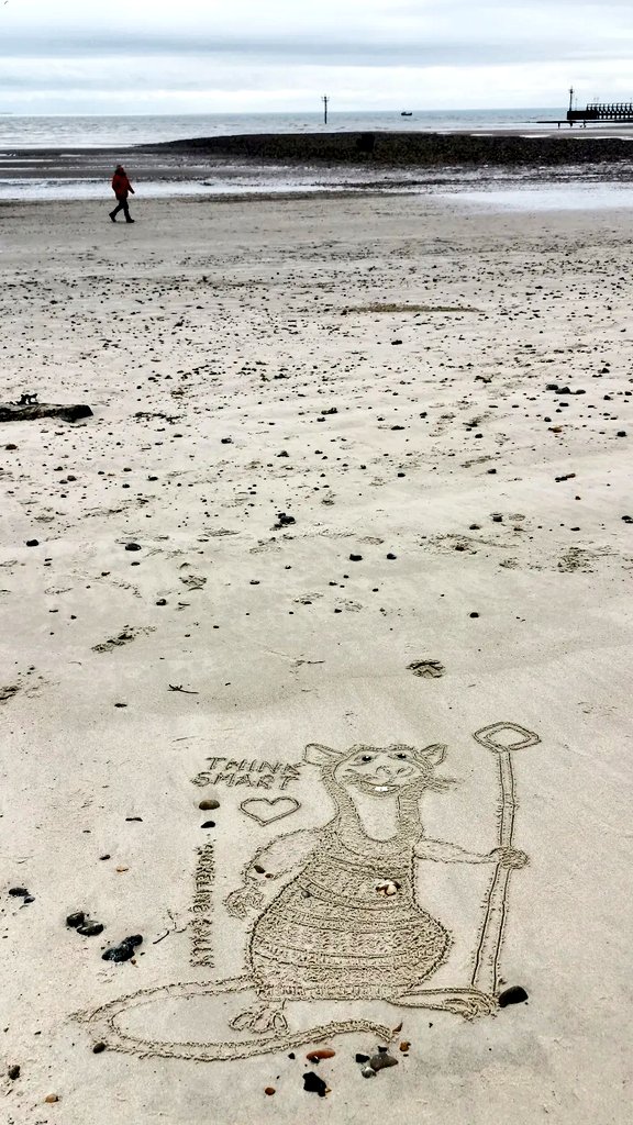 DigiDaughter's tweet photo. Think Smart 🐁 #DangerousBeans #rat #Clever #DavidTennant #terrypratchett ❄️❄️ #theamazingmaurice #SkyCinema #TobyGenkel #TerryRossio
💛 #Covid2022 #Lockdown2021 #morale #VitaminSea 🌊🌊🌊 #DuneToons #Lockdown2020 #comics #cartoons ✍️ #SandBanksy #shorelinesally Character No.1810 https://t.co/iKG2B8g7gq