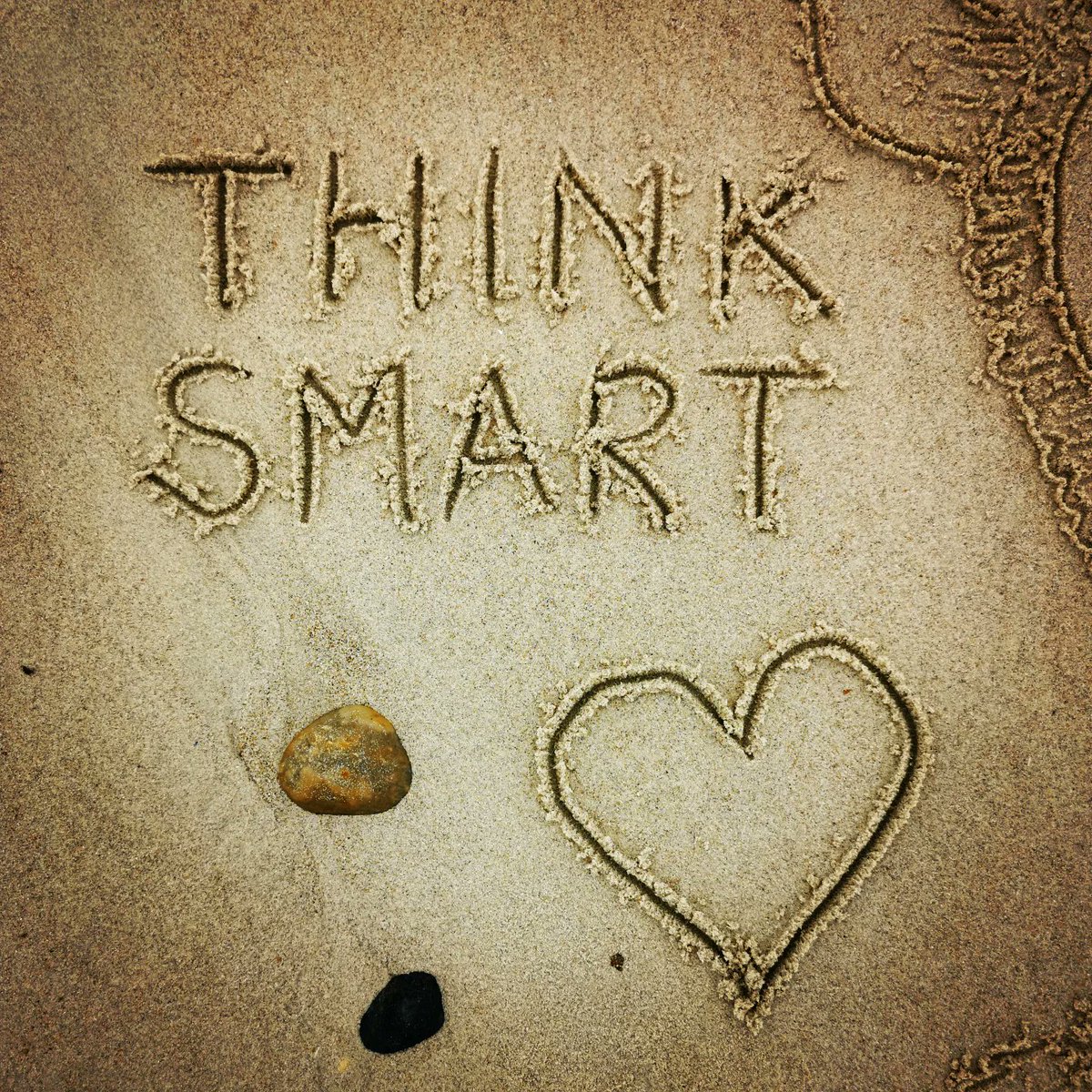 DigiDaughter's tweet photo. Think Smart 🐁 #DangerousBeans #rat #Clever #DavidTennant #terrypratchett ❄️❄️ #theamazingmaurice #SkyCinema #TobyGenkel #TerryRossio
💛 #Covid2022 #Lockdown2021 #morale #VitaminSea 🌊🌊🌊 #DuneToons #Lockdown2020 #comics #cartoons ✍️ #SandBanksy #shorelinesally Character No.1810 https://t.co/iKG2B8g7gq