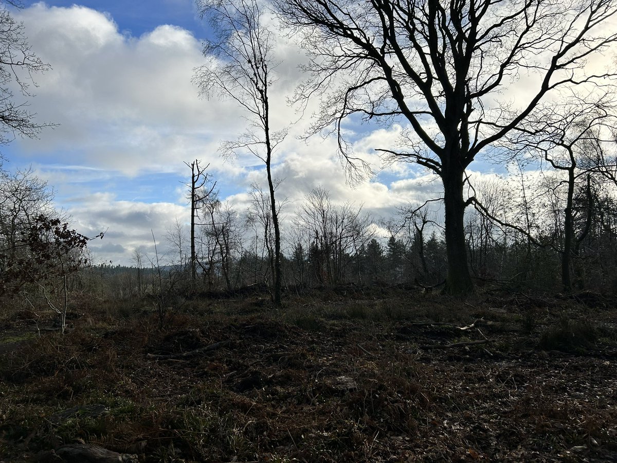P_HEDGEHOG's tweet photo. A bit of warmth, a bit of sun, a bit less mud makes me very happy. Driest / warmest ride for at least 2 months!
Roll on weds night π #mtb #penyard #mostlydry https://t.co/6fvxUoAmlv