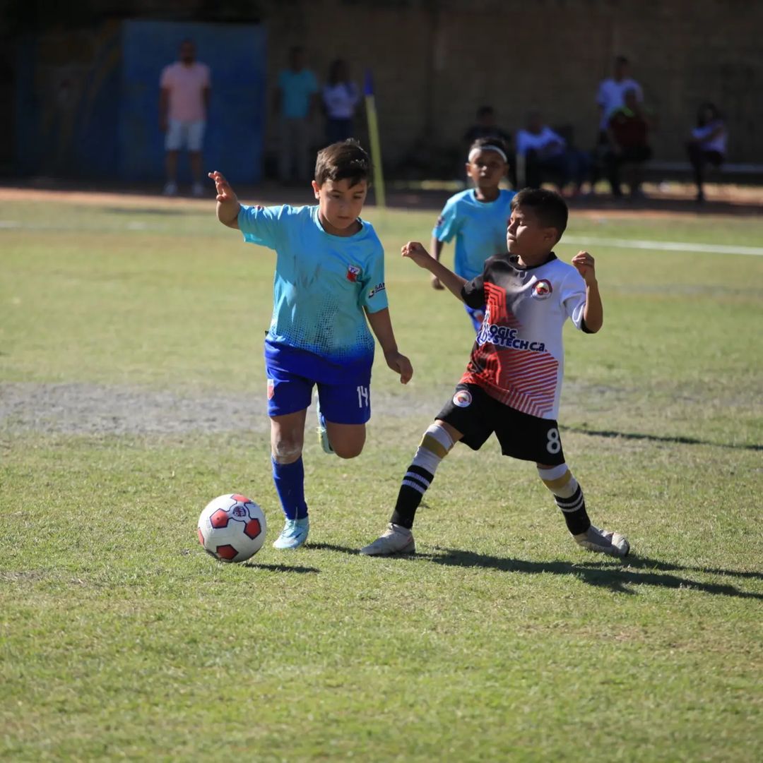 SomosAfel's tweet image. 🏆😍🎉 ¡Hay ¡𝗖𝗔𝗠𝗣𝗘𝗢𝗡𝗘𝗦! en la categoría #Sub9 La academia #CountryFutbolClub se llevó el título al vencer en la tanda de penales 4️⃣-2️⃣ a #AcademiaBarquisimeto

¡BRAVOOO! 👏🏻

#SomosAFEL 
#TeamAFEL 
#ConElOrgulloDeSerLarense 
#TodoSomosAFEL