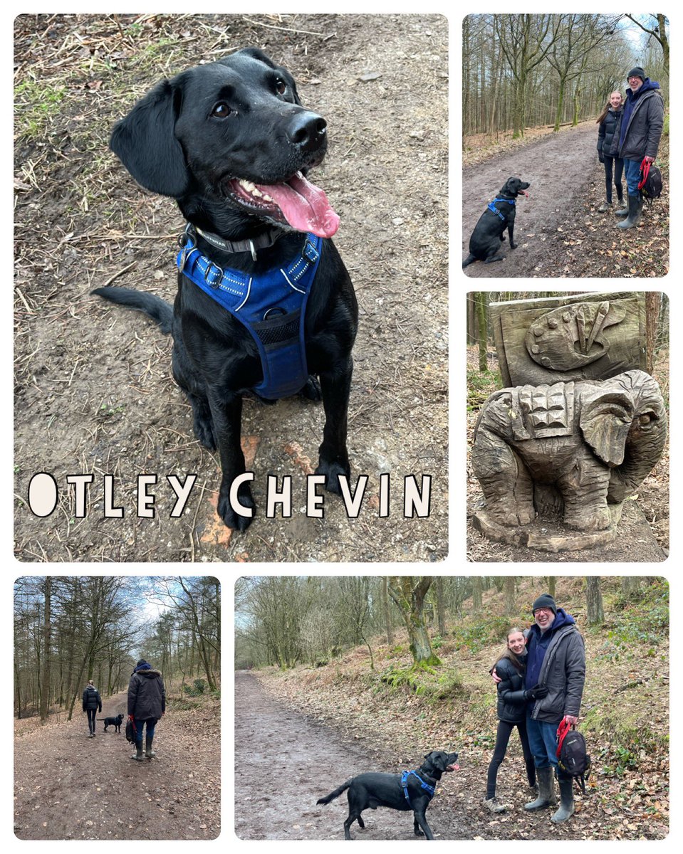 WrenchKatie's tweet photo. @WMount #journeysinjanuaryforjenny #teamtemplar last walk sneaked in topped off with lunch #mistalkitchen https://t.co/IF1ks3mUir