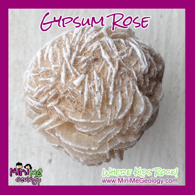 Mini Me Geology on Twitter "Gypsum Roses are one of the most unique