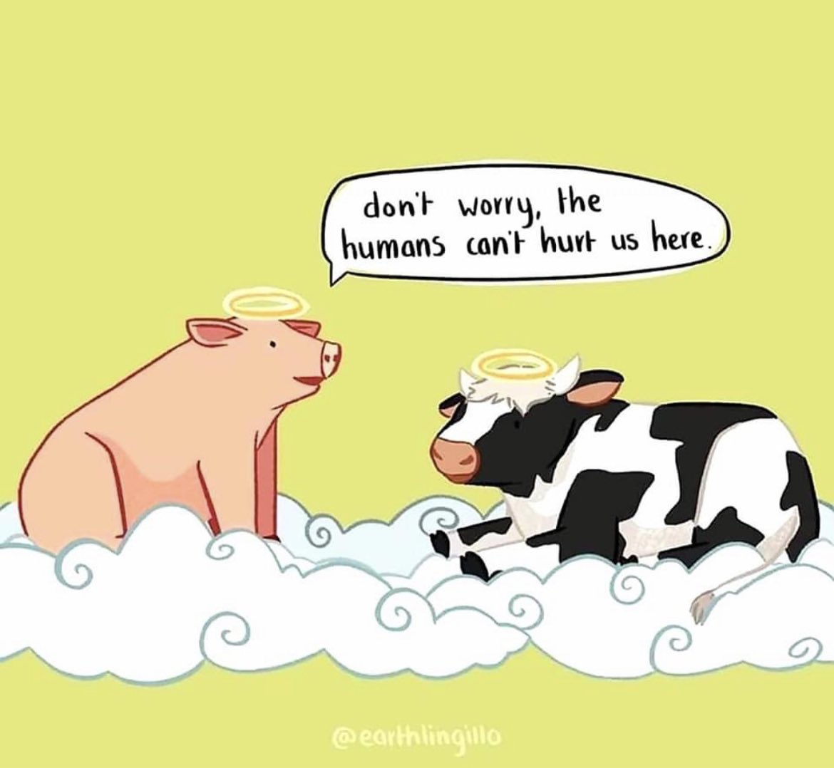 veganhotty's tweet photo. Always on my mind. This is why I’m vegan 💚🌱 https://t.co/SKO7eJndxz