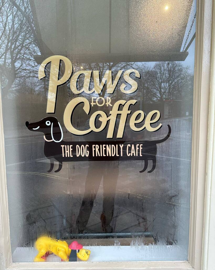 Timothy_Hughes's tweet photo. Paws for coffee @pawsforcoffeeuk #pawsforcoffee #hamptonhill #bushypark #coffee #coffeetime #baconsandwich #food #cafe #café #cafè #cafelatte https://t.co/9DOrGiwgvO https://t.co/rhDmTRWC2Z