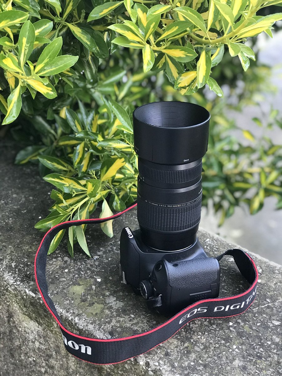 YavuzOmer5334's tweet image. Özlediğim ve Yapmaktan en çok zevk aldığım iki şey;👇🏻işte bu yüzden #YazGelsin 🌷🚴🏻‍♂️📸 #Canon #Kron