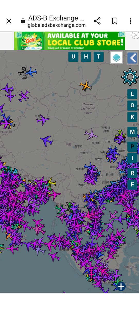 Sheldon Snow tweet media