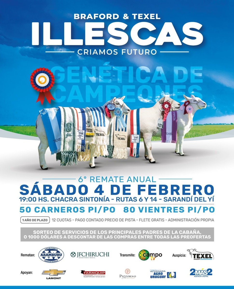 🗣️📣 Próximo remate auspiciado por <a href="/TexelUruguay/">Texel Uruguay</a> 
🗓️4/2
🕖 19:00hs
📍 Chacra Sintonía R6 y R14 Sdi del Yi
🐑 50 carneros y 80 vientres
🧑‍⚖️ <a href="/escaramburu/">Escritorio Aramburu & Cía Ltda</a> y JFCHIRUCHI
📡📱📺 @campotv_tv 

#larazaenconstantecrecimiento