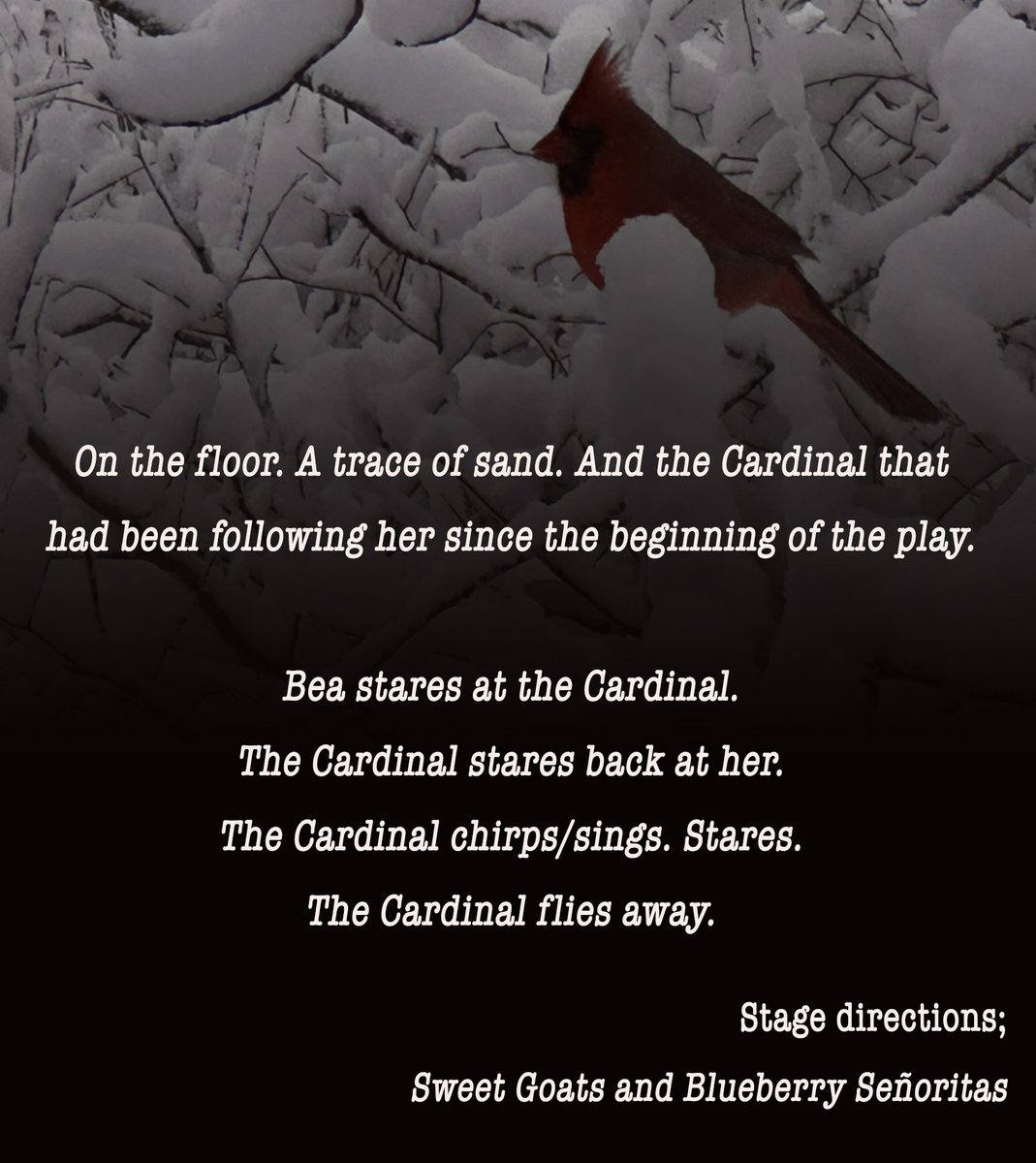 rblancopoet's tweet photo. Celebrating the premier of our play this #StanzaSunday with this excerpt from the stage directions written by myself and @vanessathekrane. Those who come to see the show will know how the cardinal is a message from something bigger than us. Do you have a "Cardinal Story?" https://t.co/YVMs3XLBQW