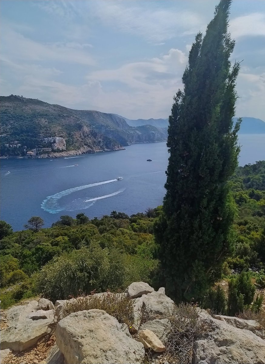 Paradise walk, Lokrum island, Dubrovnik❤️🔆📸🌊
#Dubrovnik #Lokrum #Croatia #traveldiary #photography #sunny #paradisewalk #picperfect #beautiful #viewoftheday #happy