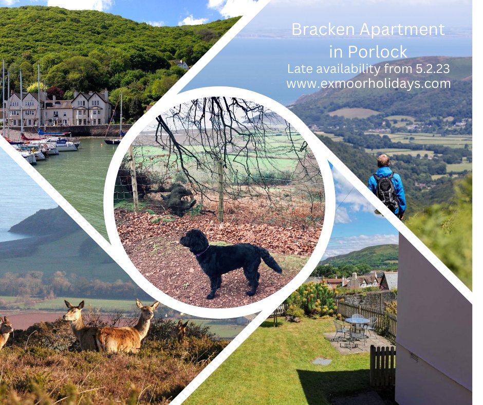 Visit picturesque #Porlock #Exmoor.  #Lastminute offer Bracken 1 bed ground floor apartment.   Sun 5.2.23 - 3 nights £180, 6 nights £225  #hiking #walking #southwestcoastpath exmoorholidays.com
