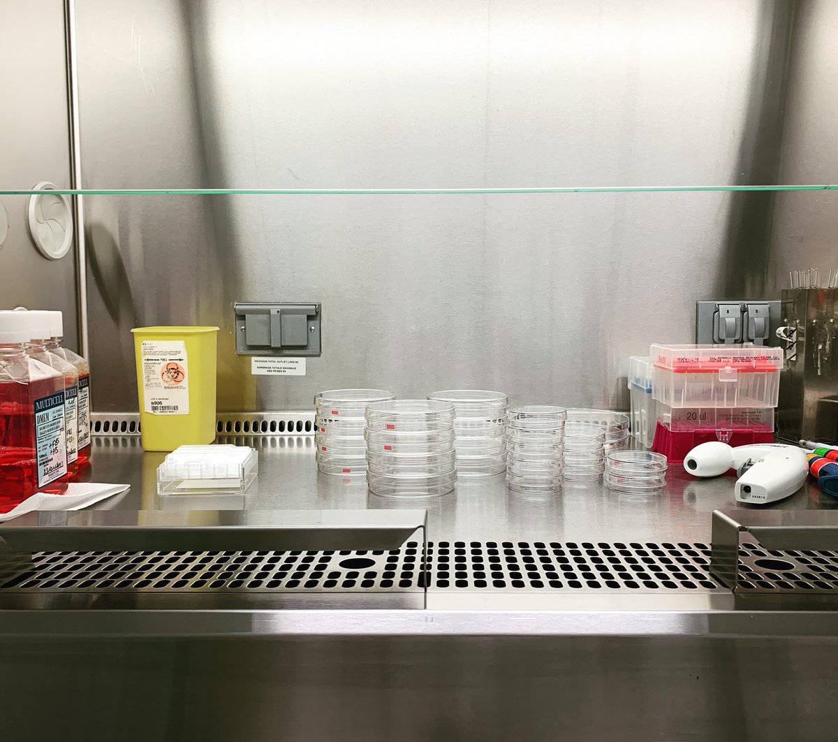 SamsonNolwenn's tweet photo. Cell culture Sunday 🧫🦠🧬👩🏻‍🔬❄️ https://t.co/leZgpgDw8k