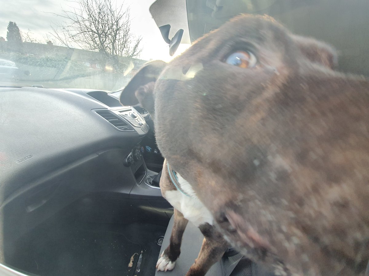 Shard End Police tweet media