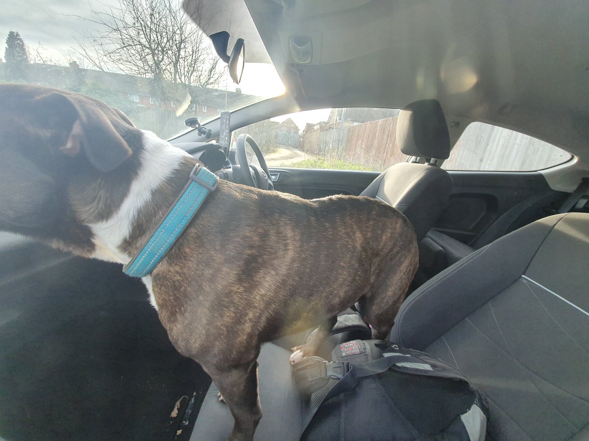 Shard End Police tweet media