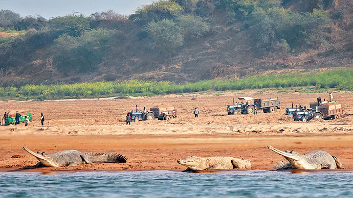 -Fmr CM <a href="/umasribharti/">Uma Bharti</a> alleged rampant #illegalsandmining in MP, Rajasthan along #Chambalriver claiming 100s of sand trucks moving under Chambal bridge like army practices wth 100s of tanks for war. timesofindia.indiatimes.com/city/bhopal/ra… <a href="/byadavbjp/">Bhupender Yadav</a> <a href="/CMMadhyaPradesh/">Chief Minister, MP</a> <a href="/RajCMO/">CMO Rajasthan</a> <a href="/Jairam_Ramesh/">Jairam Ramesh</a> <a href="/pantlp/">LP Pant</a>