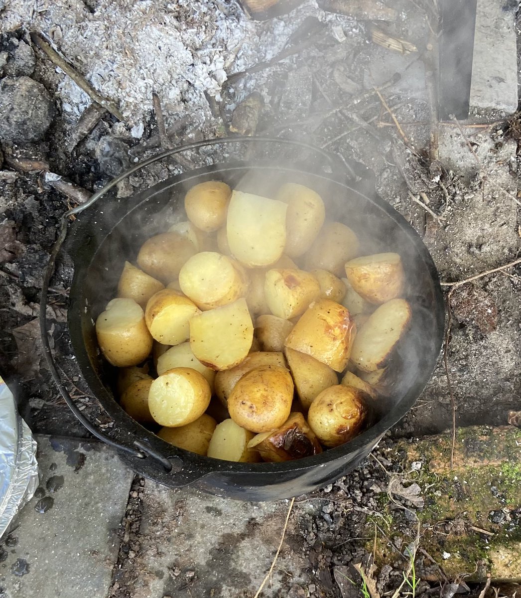 Fruits Of The Forest-healthy and happy children tweet media