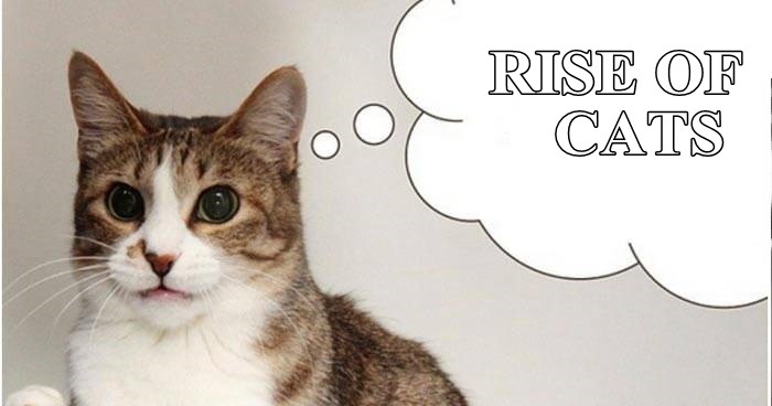 Hello gamers👋🫂
The big day is coming in no time⚡️
Rise of cats is going to be the most played #Play2Earn    game in the #NFT games world🚀

#GameFi #Web3