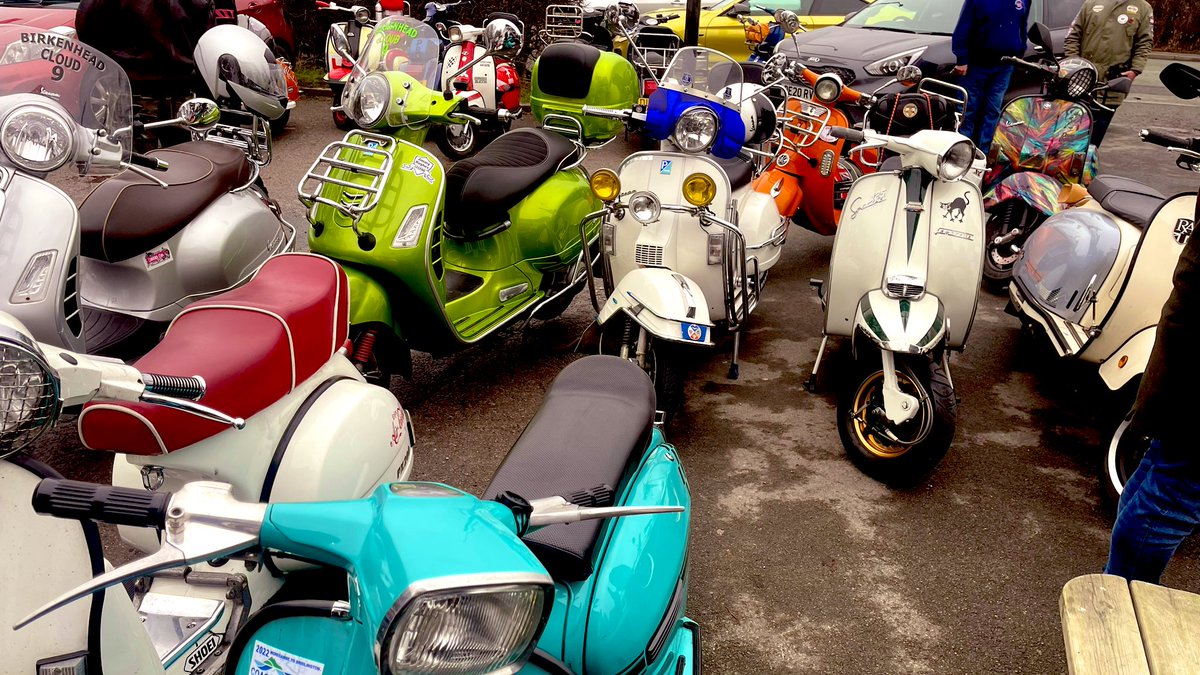 Will Sergeant tweet media