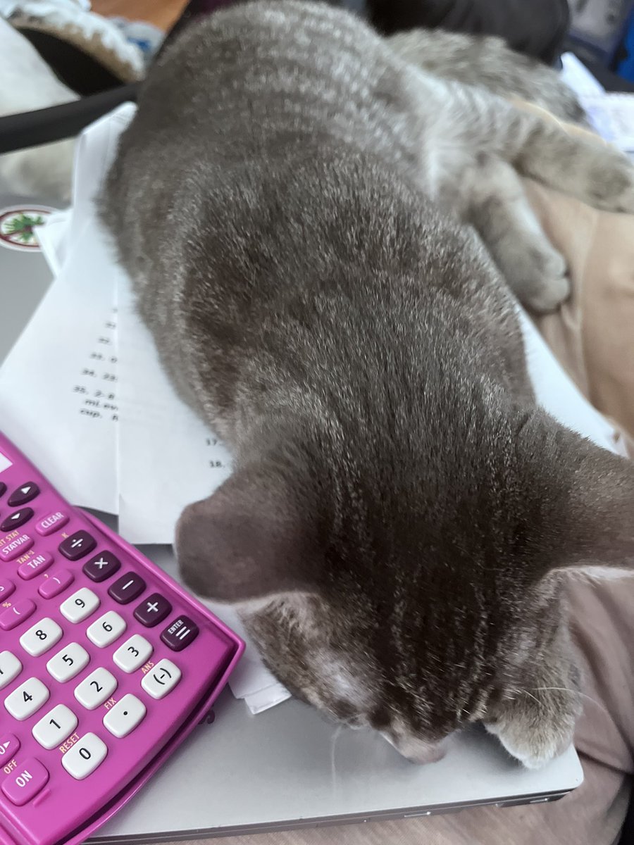 MsFancyDiarra's tweet image. Happy Catday! 😂🤦🏽‍♀️ #FocusOnHim #NothingElse #CatFlop #NoHomeworkMom