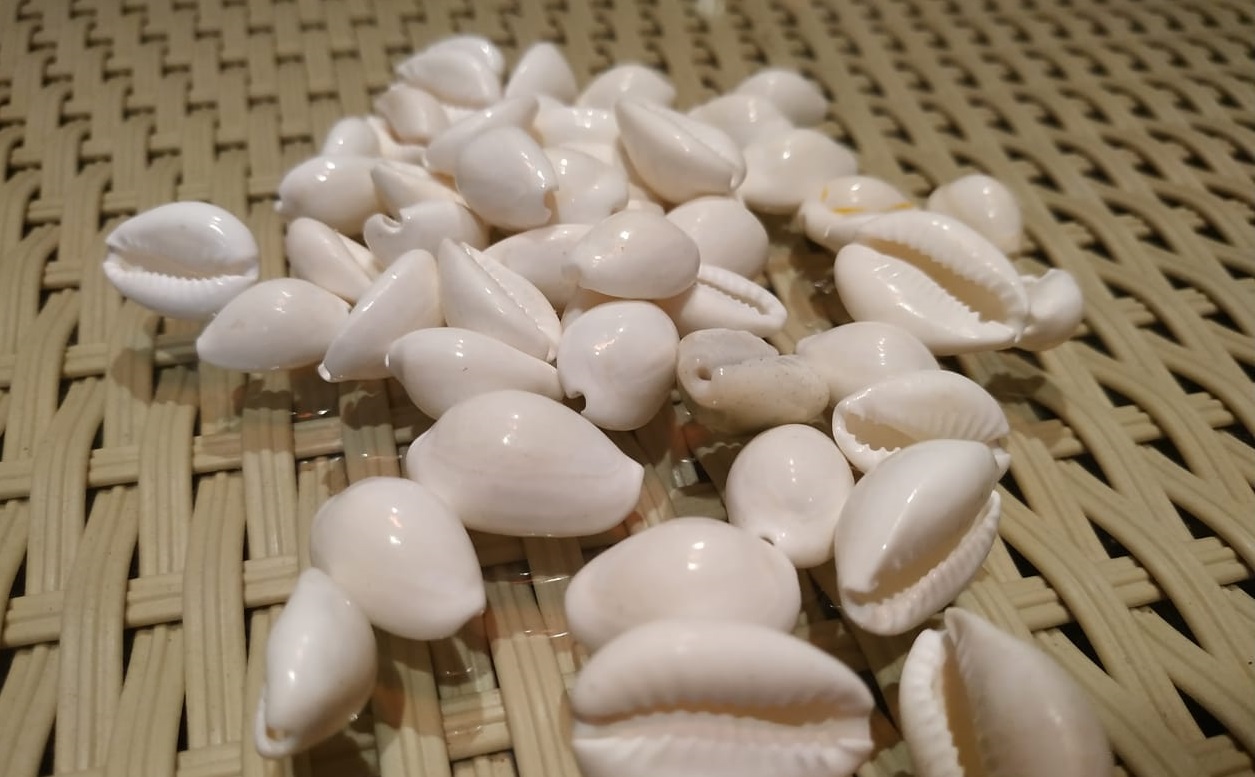 ShellWala.com on Twitter: