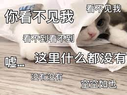 Genpingtianxia's tweet photo. #孟菲斯警察暴力执法在美国持续发酵

在孟菲斯警察暴力执法视频公布之后，全美国举行示威游行抗议警察暴力执法。

#哏儿评
我知道你们都在看辉瑞的丑闻，没工夫看这个新闻。但是，这个事真的也不小。。 https://t.co/IcxL5ooguO