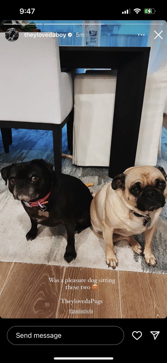 Cautiously Optimistic FCD Fan tweet media