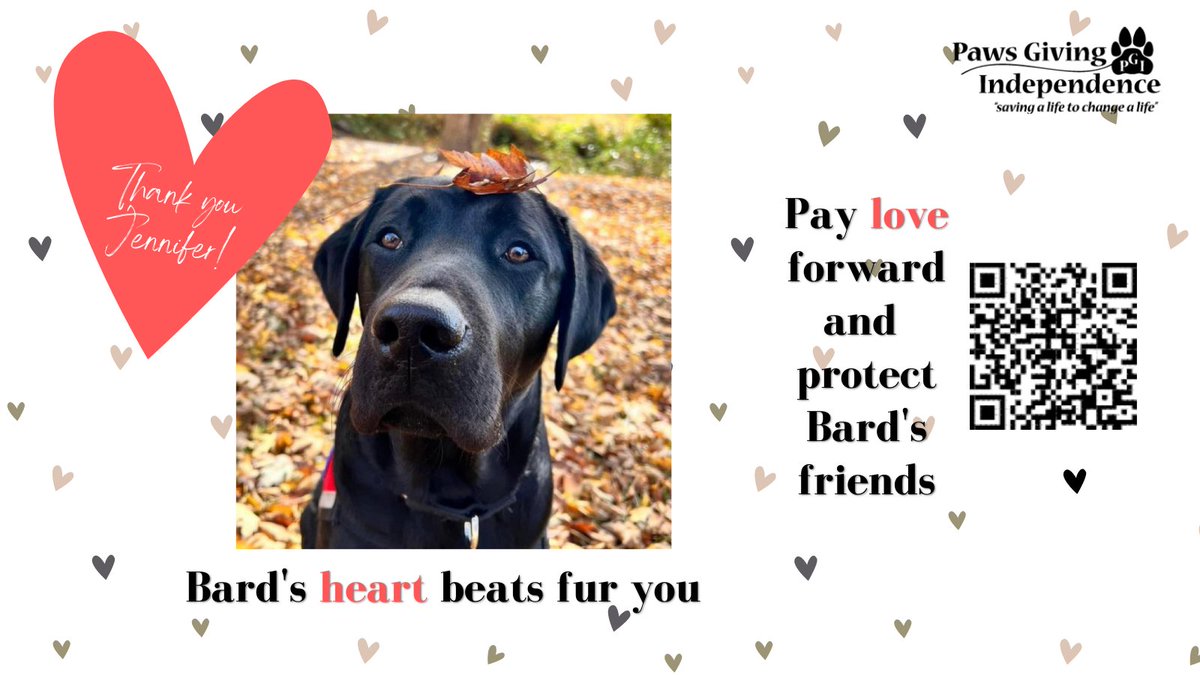 PGIdogs's tweet photo. 💘Thank you, Jennifer! Bard's ProHeart 6-month injection has been paid for! You, too, can pay LOVE forward and protect one of Bard's friends. From $10 to $108 you can keep our #servicedogs healthy and able to work. 🦮 For details and to donate, visit https://t.co/NhWaYIJPzm https://t.co/WdGLWu7Tzv
