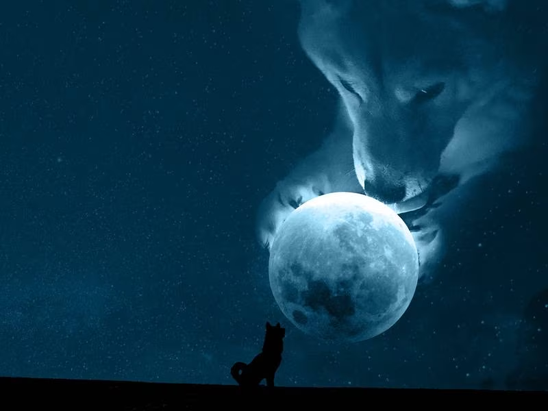 PampaPro_O_M_G's tweet photo. Floki Inu Developers Float DAO Proposal to Burn $55M of Its Own Tokens
#floki #dog #flokindonesia #ragnar #corgi #flokiphotography #love #dogs #viking #flokithehusky #huskypuppy #flokids #bjorn #siberianhusky #flóki #cute #flokithecat #doggo #flokinho https://t.co/8WdK4cLHUt