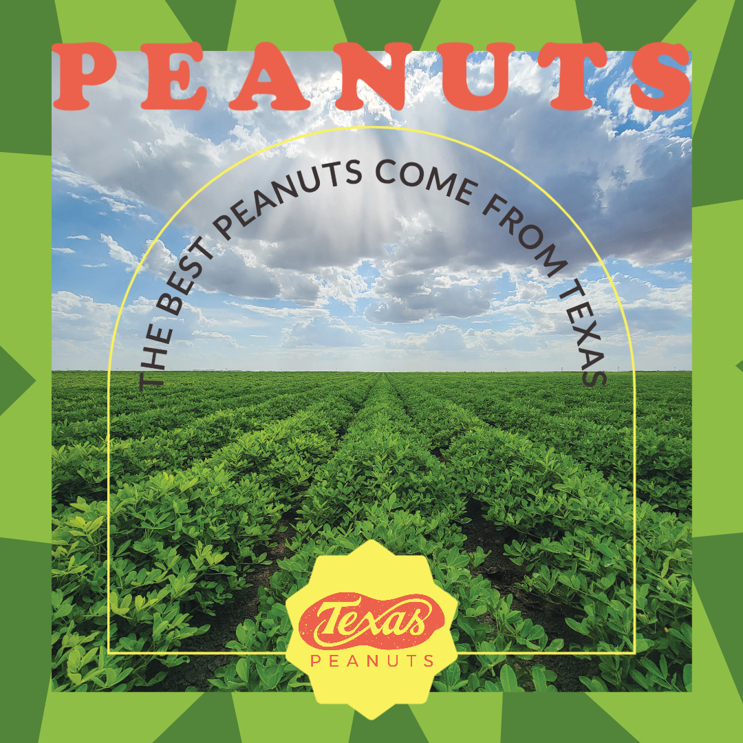 It’s true; here at TPPB, we believe the best peanuts are grown by Texas farmers.  
•
•
•
#EatMorePeanuts #TexasPeanuts #TexasPeanutProducersBoard