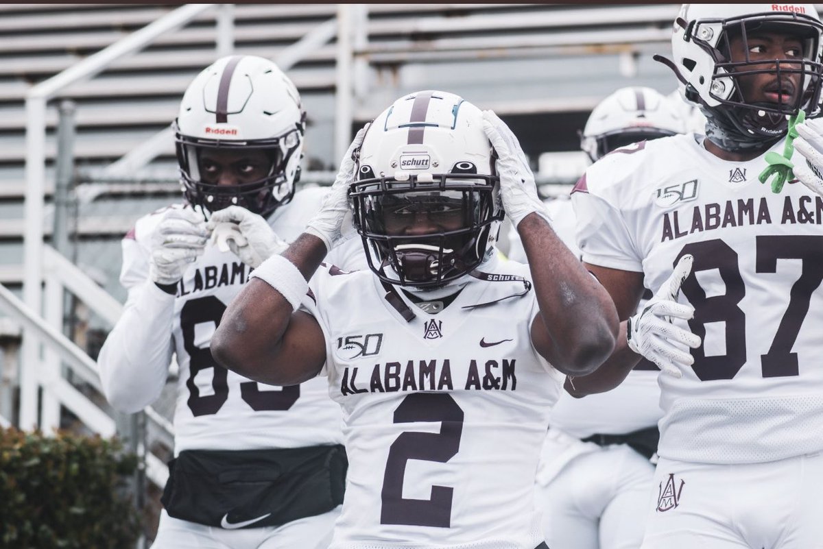 Tochi Nnoruka tweet media