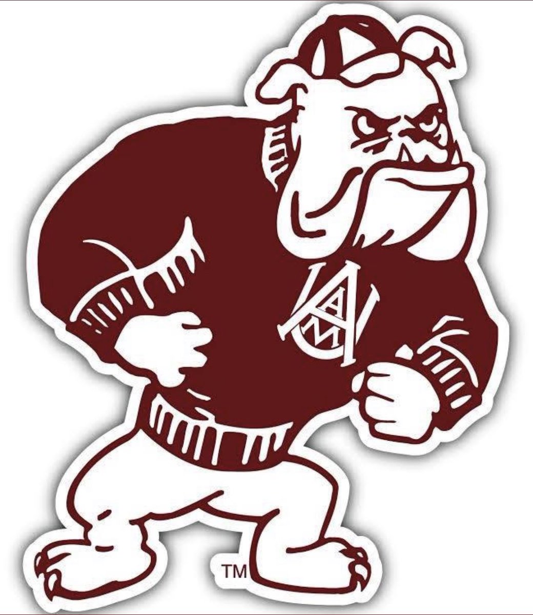 Tochi Nnoruka tweet media