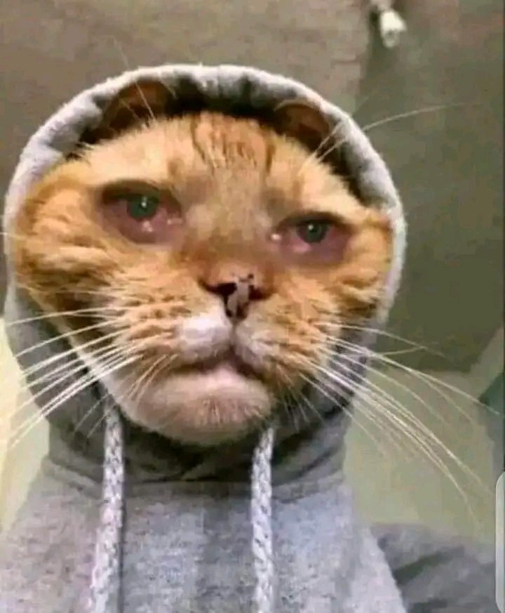 Don't touch me 🤣🤣🤣 style