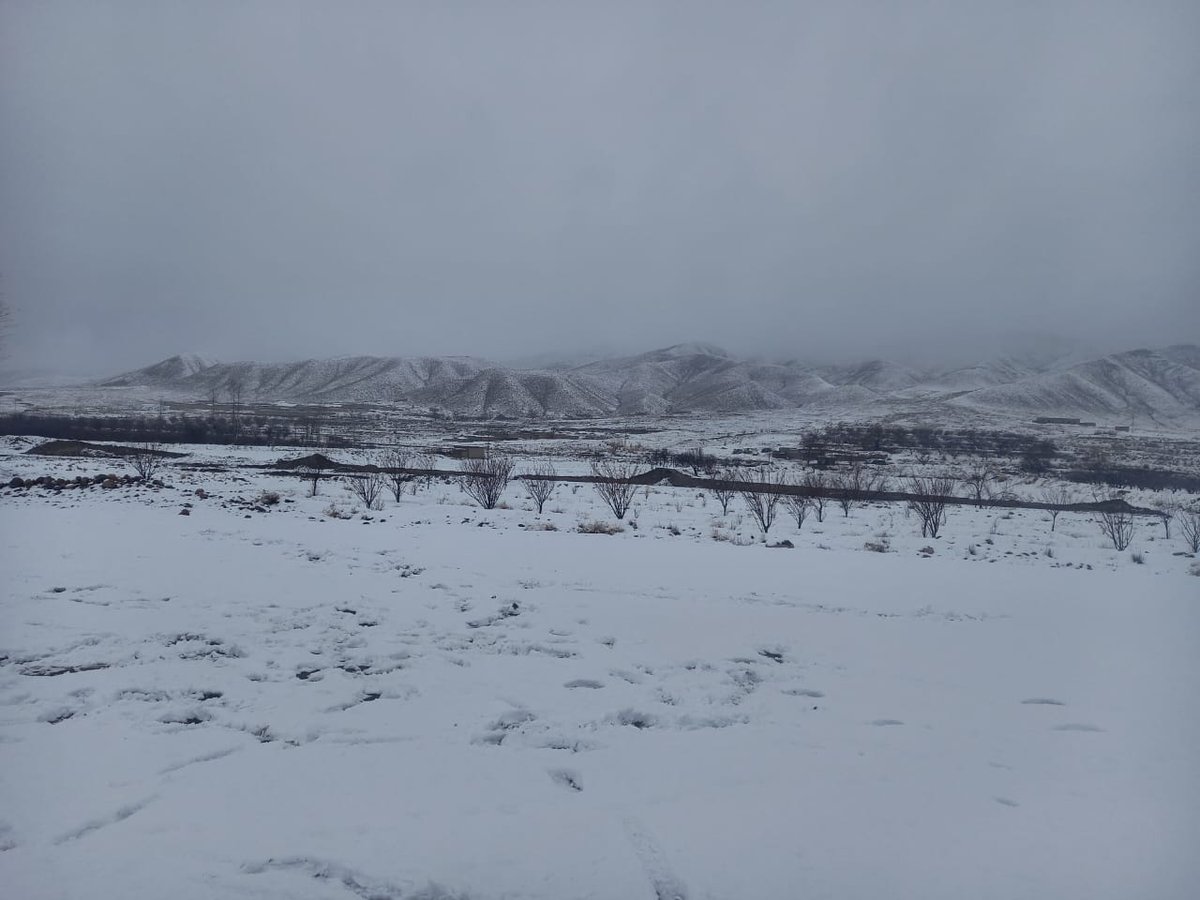 drhrp1987's tweet photo. The snow falls gently from the sky,
A blanket of white, as far as the eye can see.
Friends gather round, with rosy cheeks,
Laughter and warmth, in the chilly breeze
#Quetta
#Balochistan
#snow_fall
@khanozaikarezat https://t.co/LhOC7Mmjdb