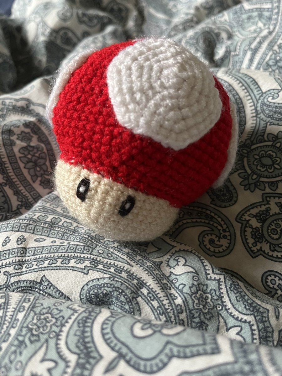 astral_weeb's tweet photo. Guys🥺it’s done🍄🧶 https://t.co/V4sFlagjs2