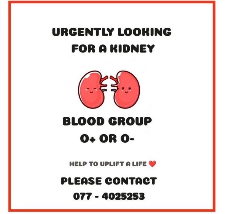 munza14's tweet photo. A kidney is needed urgently for a patient.
Blood group: O+ or O-
Please call 077 4025253 or DM @Saasha_Shan for more information.
#LKA #SriLanka https://t.co/zJzFtd8Jg6