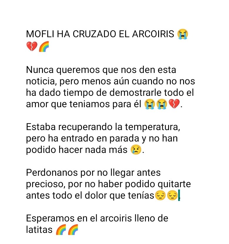 Felinos_Gabias's tweet photo. #MOFLI HA CRUZADO EL ARCOIRIS 💔💔😭😭🌈🌈🌈
#granada https://t.co/ezmOclemP4