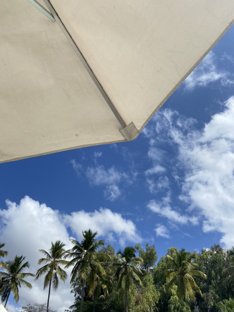 edgarestevez's tweet photo. Staycation 🌴✨ https://t.co/njLL5q3M0F