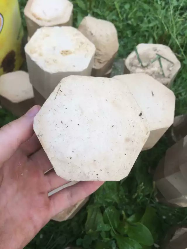 zeocrash's tweet image. My favourite Reddit find is still this