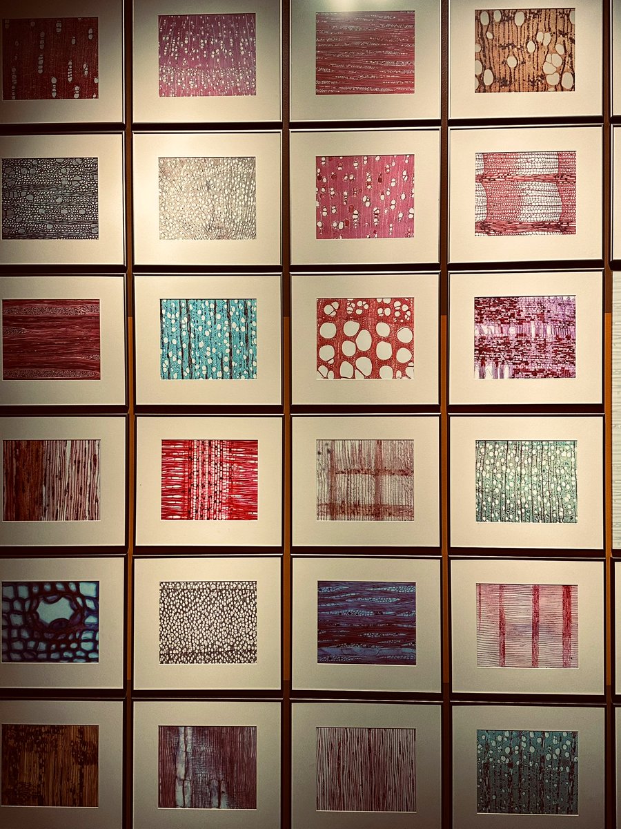 Ramesh Pandey tweet media