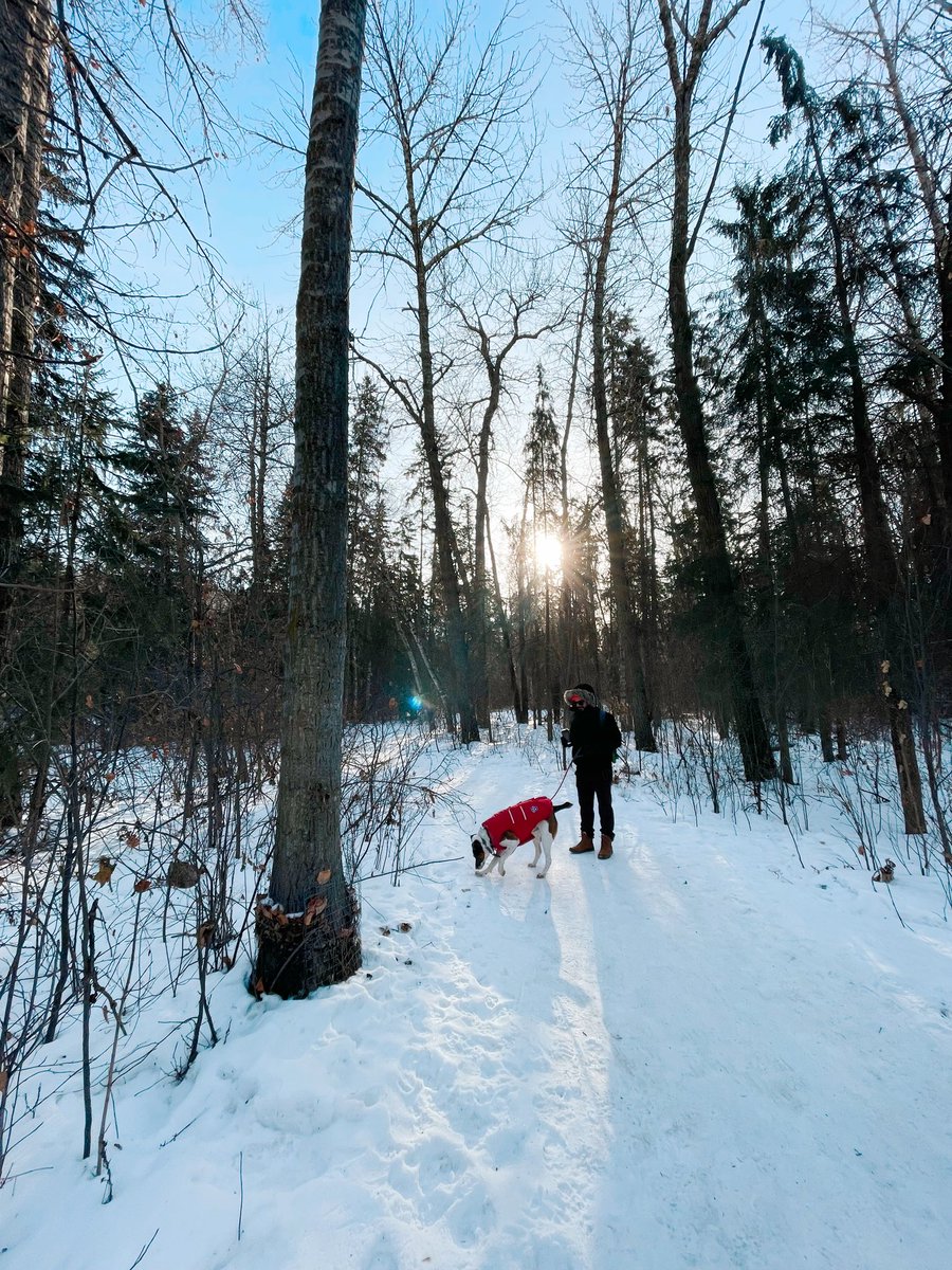 There were new nature signs from <a href="/CityofEdmonton/">City of Edmonton</a> in Whitemud Creek today and it was the highlight of our walk