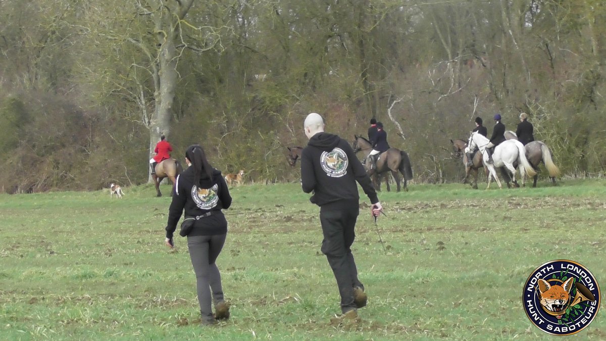 NLhuntsabs's tweet photo. 2/3 We counted 6 (yes, 6) paying field riders in attendance, meaning the East Essex were outnumbered by sabs from this group and @SES. The hunt left the meet at Essex Hall and headed northwest. Huntsman Thorpe tried several times to lose us but couldn’t escape our drone. https://t.co/mhaEkRxxv9
