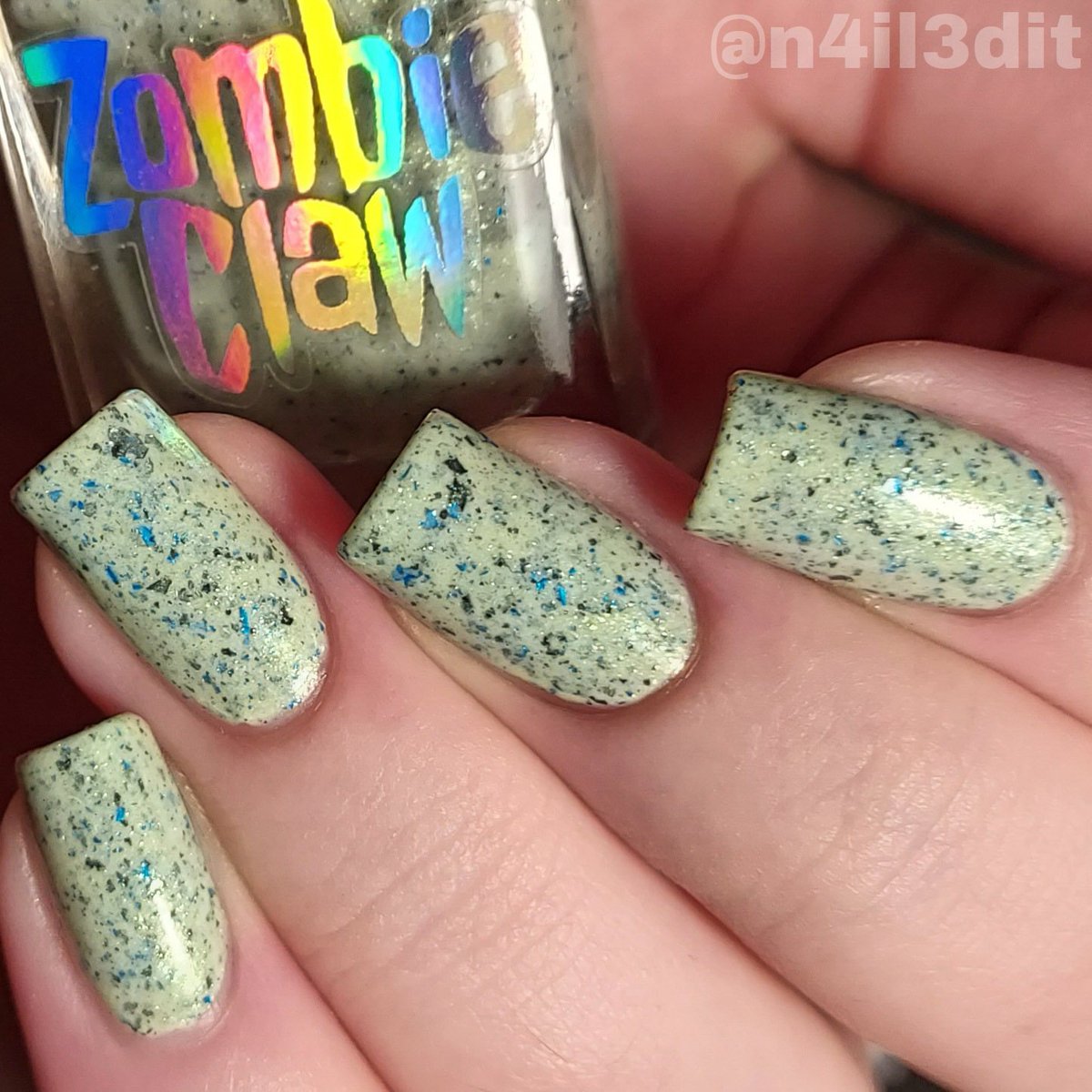 n4il3dit's tweet photo. Holo #amethystkittens here is the fifth polish I opened from the halloween countdown ๐๐
๐๐๐๐๐๐
Products from
@zombieclawpolish @holotaco @nailogical
๐๐๐๐๐๐
#zombieclawpolish #greennails #nailsoftheday #nailswatch #nailsof2023 #nailsofig #nailsnailsnails https://t.co/b4NbPsmvxb